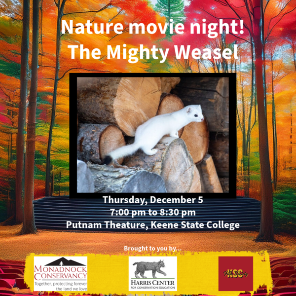 an image of a forest with a movie screen in it. on the screen is a picture of a weasel. The text reads "Nature Movie Night: The Might Weasel. Thursday, December 5 7:00 pm to 8:30 pm"