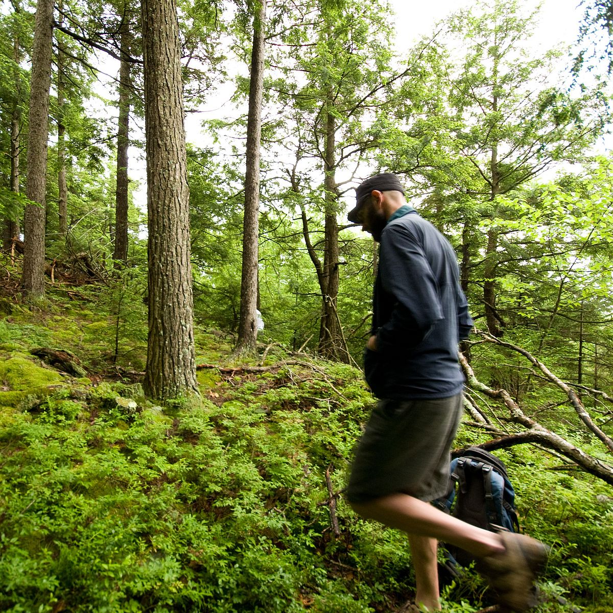 News: Tips to Hike Local - Monadnock Conservancy