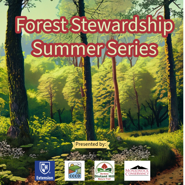 a picture of a new hampshire forest with the words "Forest Stewardship Summer Series presented by CCCD, UNH Extension, Distant Hill & the Monadnock Conservancy"