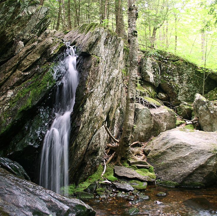 Success Stories - Monadnock Conservancy